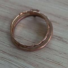 Ringa, rapporterat av Arriva West-Brabant med iLost