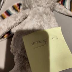 Zabawka 1 etage, zgłoszono przez Bibliotheek Neude (Utrecht) przy użyciu iLost