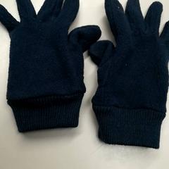 Barnens handske Donkerblauw, rapporterat av Burgers' Zoo med iLost