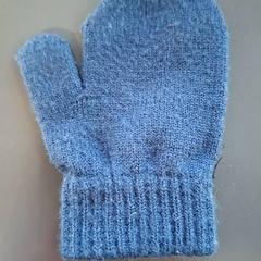 القفاز Kinderen Blauw، كما تم الإبلاغ عنه بواسطة Burgers' Zoo عبر iLost