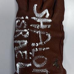 Rukavice Bruin rechts, jak nahlášeno Vrije Universiteit Amsterdam pomocí iLost