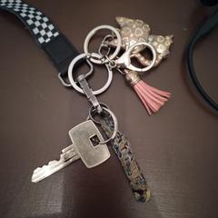 Sleutel, as reported to iLost