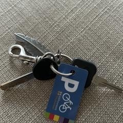 Sleutelbos, jak bylo nahlášeno na iLost