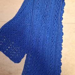 Schal blauw, gemeldet von Qbuzz DMG über iLost