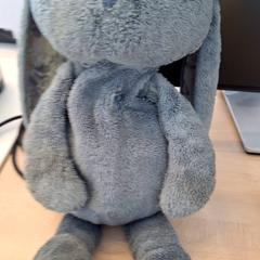 Plyšová facka, ako bolo nahlásené IKEA Metz pomocou iLost