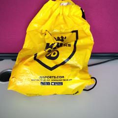 Sac، كما تم الإبلاغ عنه بواسطة Twisto عبر iLost