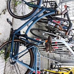 Pánsky bicykel carco, ako bolo nahlásené Stadswerk072 pomocou iLost