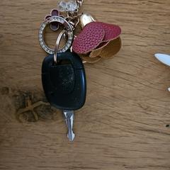 Autosleutel, come riportato a iLost