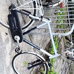 Dámsky bicykel Raleigh, ako bolo nahlásené Stadswerk072 pomocou iLost