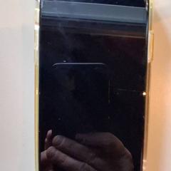 Iphone Lotte de bruin, segons ha informat Familiepark Drievliet mitjançant iLost