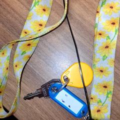 Nyckel, rapporterat av Qbuzz DMG med iLost