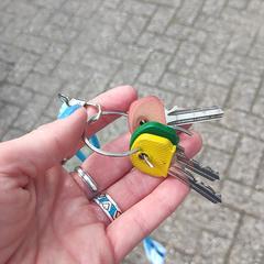 Sleutelbos Deventer, ha sido reportado a iLost