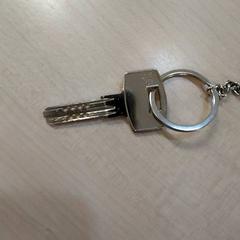 鍵 がiLostで IKEA Tours によって報告されました
