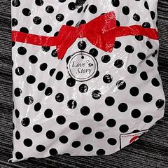 İLost kullanarak Arriva Limburg Zuid tarafından bildirildiği gibi Çanta