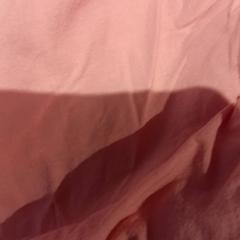 Txamarra, gisa salatu by De Efteling iLost erabiliz