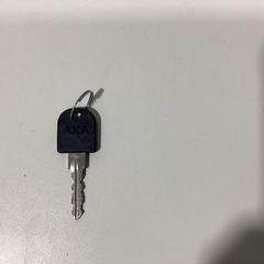 Bicycle key - 310126 BANK4, as reported by Ziggo Dome using iLost