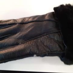 Guanti, come riportato da Regio Limburg - Leuven utilizzando iLost