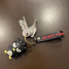 Sleutelbos, som rapporterats till iLost