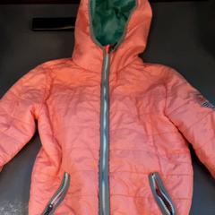 Bunda, ako bolo nahlásené Diergaarde Blijdorp pomocou iLost