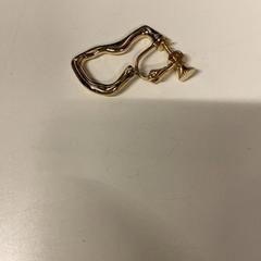 Earring, as reported by IKEA長久手 using iLost