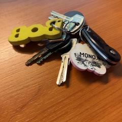 Kľúč, ako bolo nahlásené Blauwnet Zwolle pomocou iLost