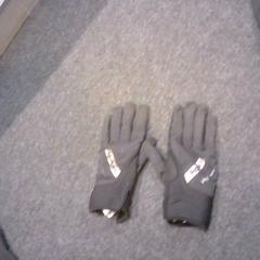 Kesztyű Roecki, amint azt SnowWorld Landgraaf az iLost segítségével jelentette.