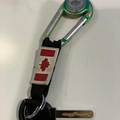 열쇠 met sleutelhanger vlag Canada, iLost를 사용하여 Gemeente Meierijstad에 보고됨