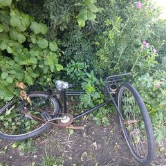 Fiets, segons s'ha informat a iLost