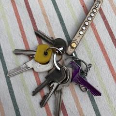 Sleutelbos، كما تم الإبلاغ عنه عبر iLost