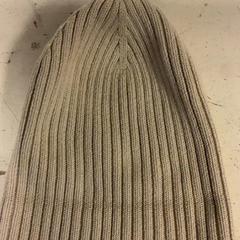 Beanie, as reported by Artis using iLost