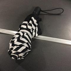 Paraguas, ha sido reportado por Breng Nijmegen con iLost