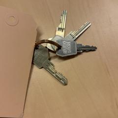 Key, as reported by RET using iLost