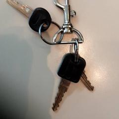 Kľúč Met kleine hanger, ako bolo nahlásené LUMC pomocou iLost