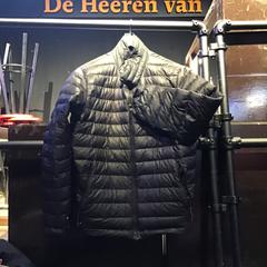 Zwarte donsjas, zoals gemeld door De Heeren van Aemstel met iLost