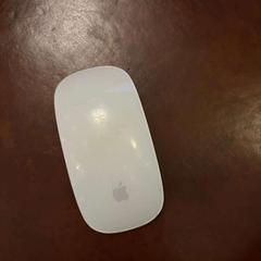 Muis Apple, zoals gemeld door Hotel Arena met iLost