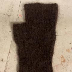 Kesztyű Bruin, amint azt Artis az iLost segítségével jelentette.