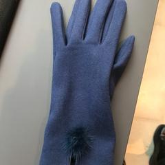 Glove, as reported by Van Gogh Museum using iLost