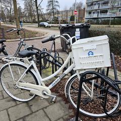 Witte damesfiets met krat, as reported to iLost