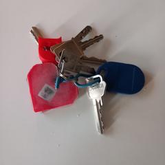 Sleutelbos, ha sido reportado a iLost