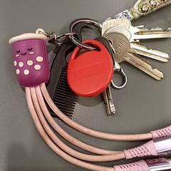 Keychain, as reported by Qbuzz GD Groningen HS using iLost