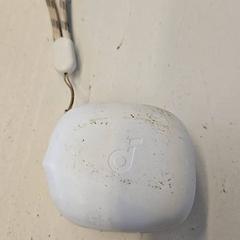 Oortjes, rapporterat av GVB med iLost