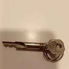 Gakoa, gisa salatu by RAI Amsterdam iLost erabiliz