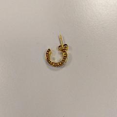 Earring Geel, as reported by Vrije Universiteit Amsterdam using iLost