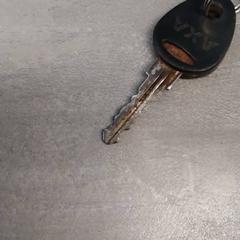 Chiave Met sleutelhanger, come riportato da Arriva Friesland / Groningen utilizzando iLost