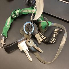 Sleutelbos, zoals gemeld door Stad Hasselt met iLost