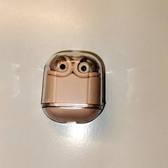 Oortjes, segundo informou Ziekenhuis Oost-Limburg usando iLost