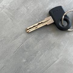 Key, as reported by Arriva Achterhoek-Rivierenland using iLost