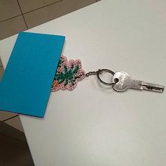Key, as reported by ilévia using iLost
