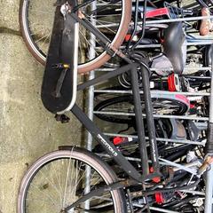 Bicicleta de hombre spediton Monaco, ha sido reportado por Stadswerk072 con iLost