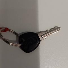Llave, ha sido reportado por allGo Almere con iLost